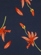 сорочечная